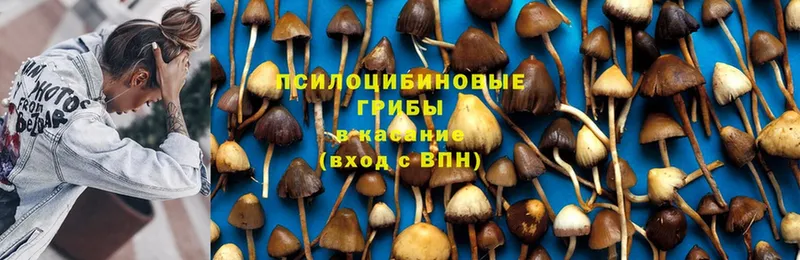 Галлюциногенные грибы Magic Shrooms Слюдянка